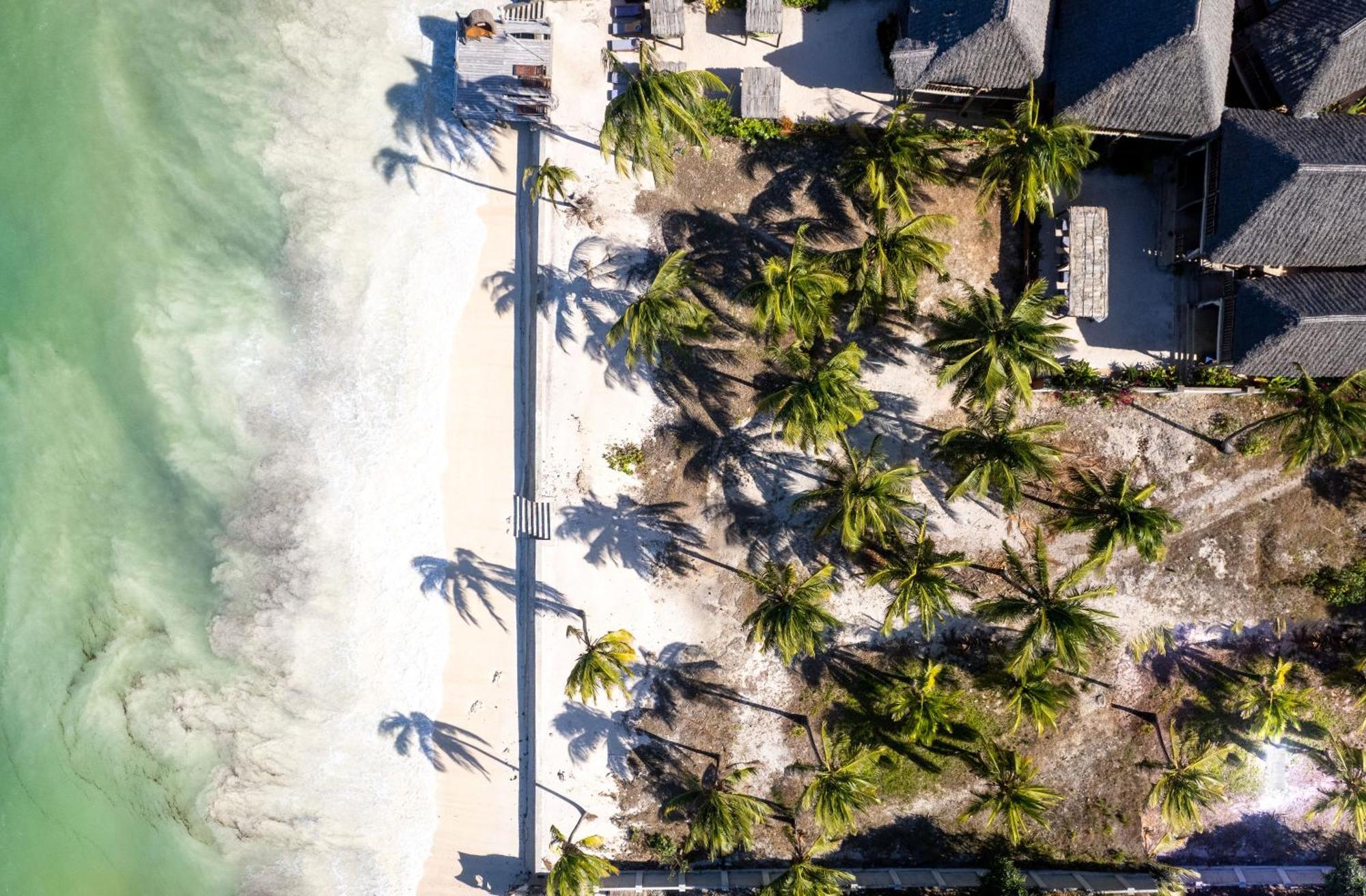 Michamvi Shanuo Beach Bungalows מראה חיצוני תמונה